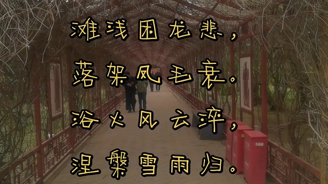 （双调）雁儿落带过得胜令“五张羊皮郭德纲”
             囗 雪 莹