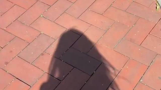 阳光真好