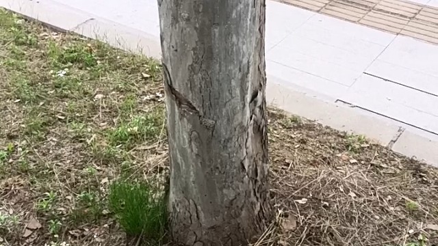 上传视频