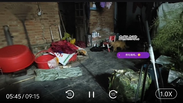 丧彪大黄。