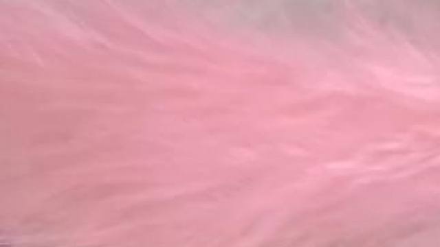ASMR睡眠专场100触发音助你入眠，全程无对白