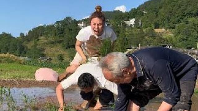 一个青蛙有那么怕么？