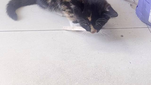 尝个味
