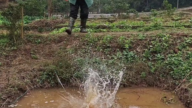 户外抓鱼