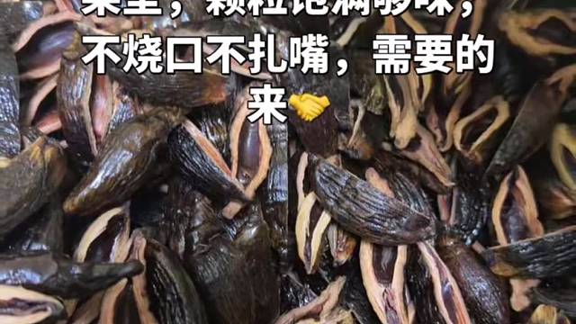 散籽槟榔源头工厂批发