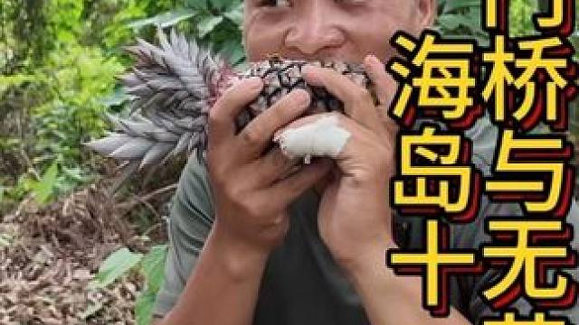 海岛十一 铺桥做门住所凉，出门觅食摘水果