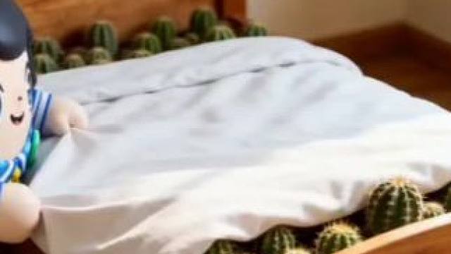 黑蛋这次太过分了