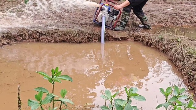 户外抓鱼