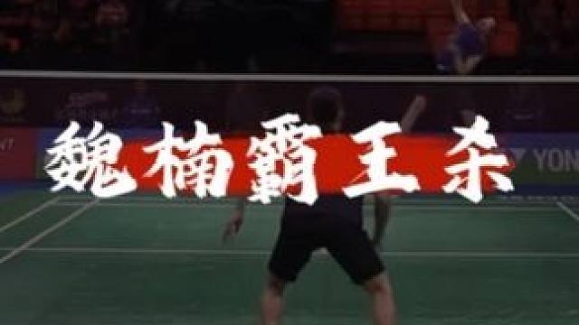 李宗伟为数不多当背景板的案例
