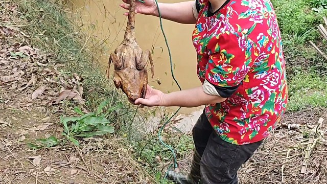 户外抓是