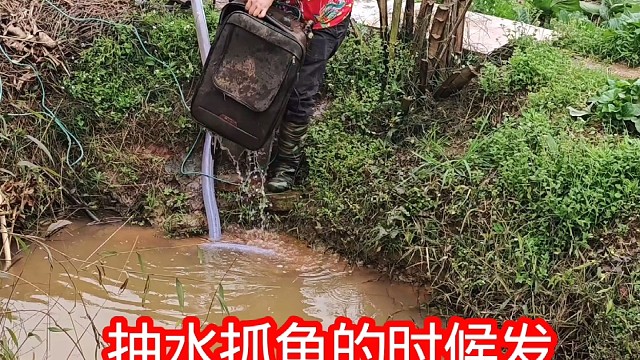 户外抓鱼