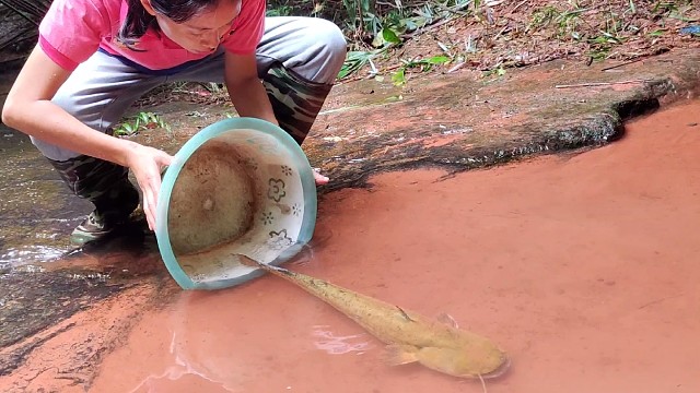 户外抓鱼