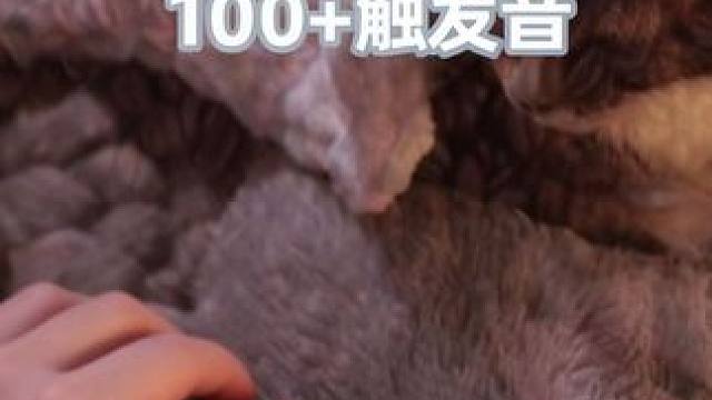 ASMR睡眠时间100超赞助眠触发音（无人声）EP1