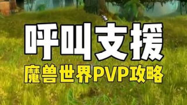 猎人PVP教程之呼叫增援