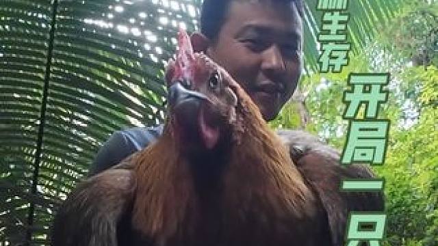丛林生存第三集： 说好的带老表进来减肥，他跑路了，接下来正片开始，开局一只鸡，快来看看吧，我能坚持多