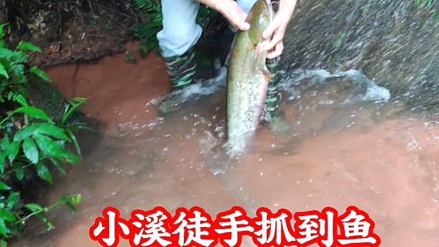 户外抓鱼
