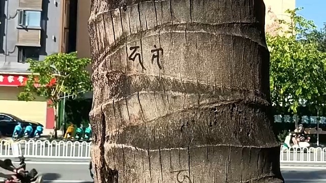 一封情书