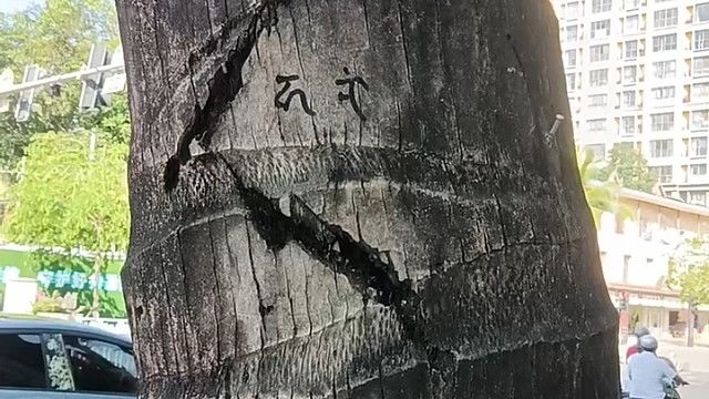 一封情书
