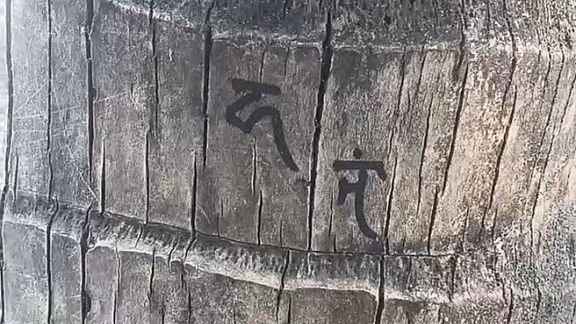 一封情书