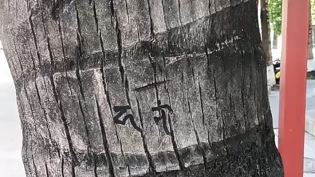 一封情书