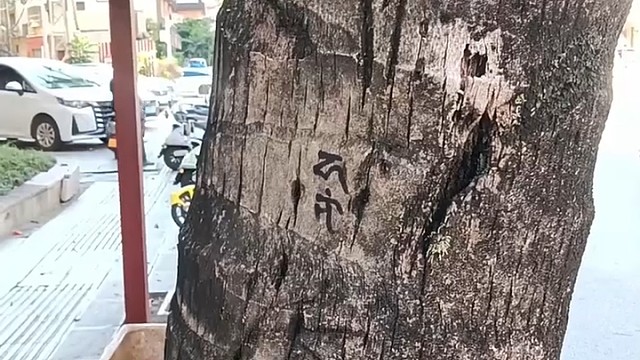 一封情书