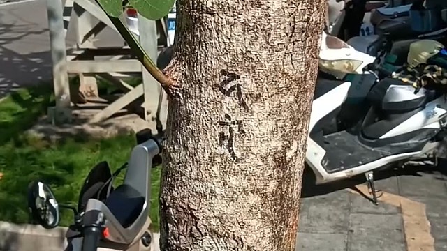 一封情书