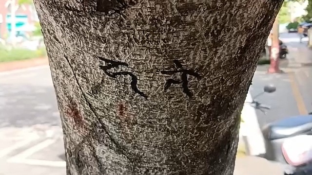 一封情书