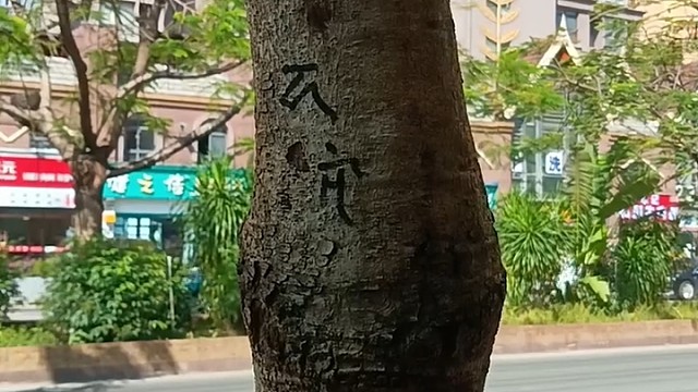 一封情书