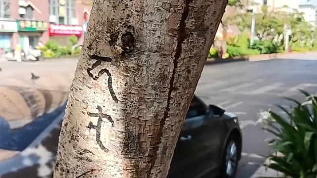 一封情书