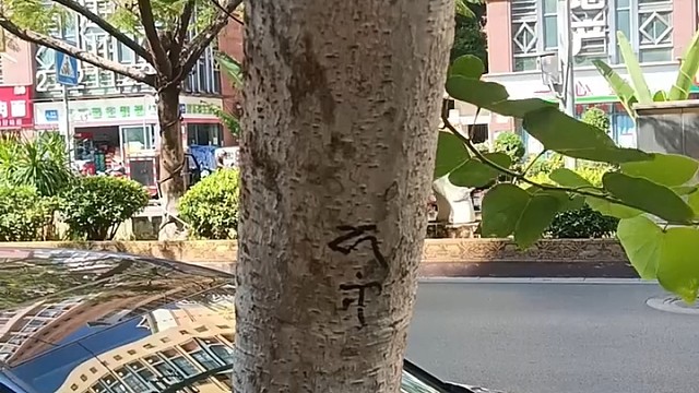 一封情书