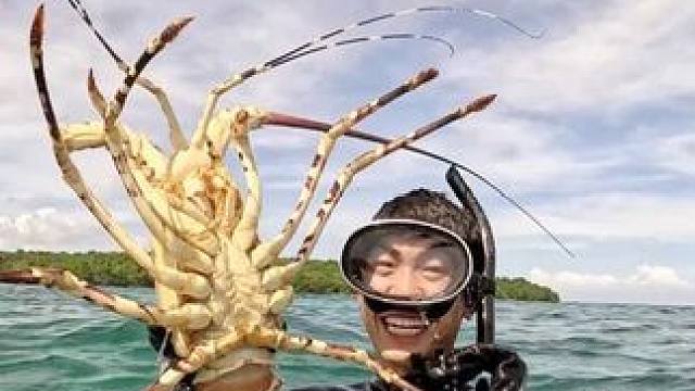 马鲁古群岛续集：庇护所顺利完工后，海边邂逅巨型大龙虾！