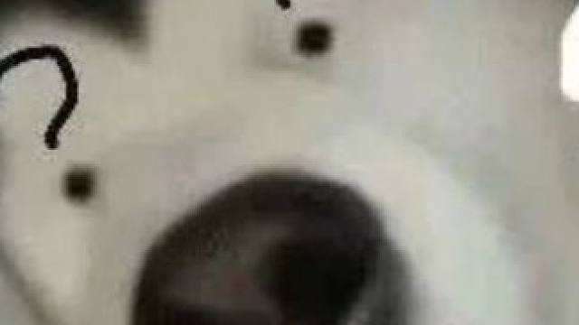 ？