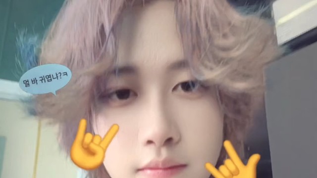 嘿嘿小奶狗