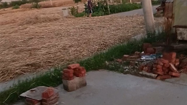 老师头