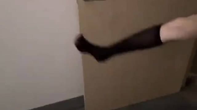 我也要我也要