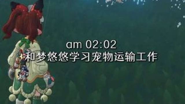 小洛克的生活记录
