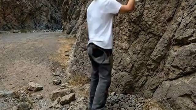 荒野改造
