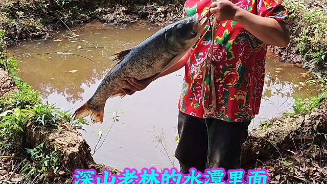 户外抓鱼