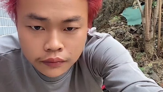 只为流浪而活