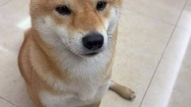 恭喜泉