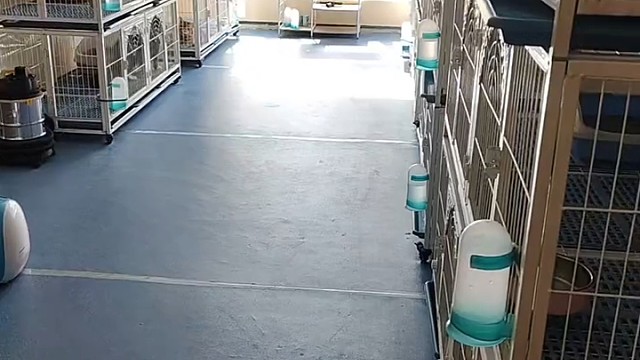 我的猫舍