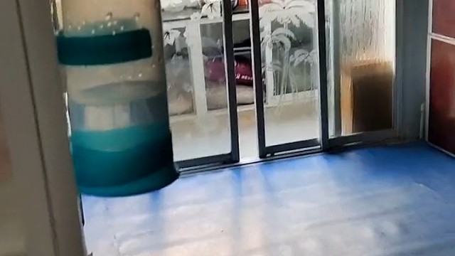 自家猫舍