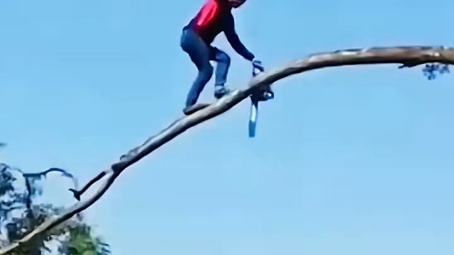 确实挺大胆，挺厉害的[捂脸]