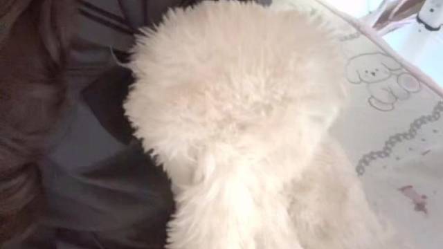 梦里和你在一起了 醒了还能接着谈吗