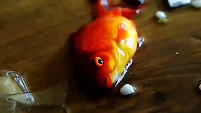 女孩子单独在家一定要锁好门啊