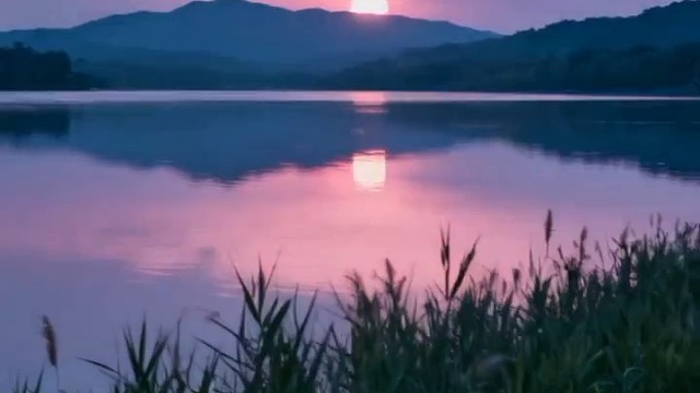 程序设计部鼎尚文化