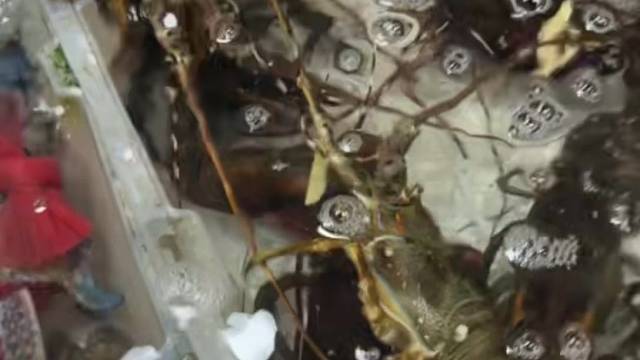 祝各位学子金榜题名，今天考完富贵虾随便吃。