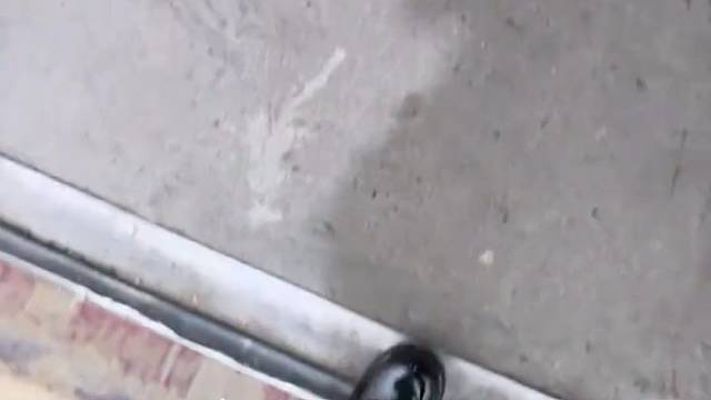这种怎么得吃啊