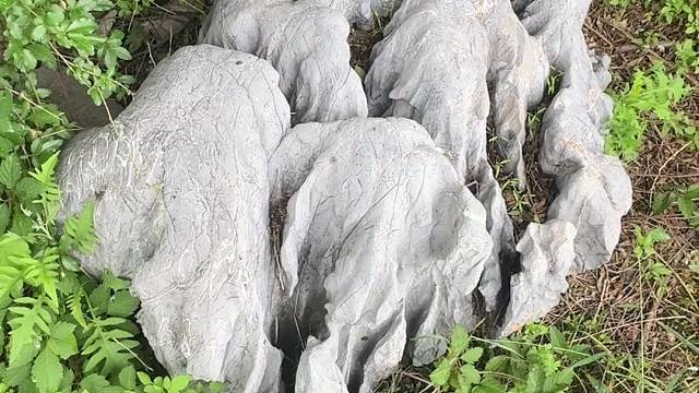 重大发现！