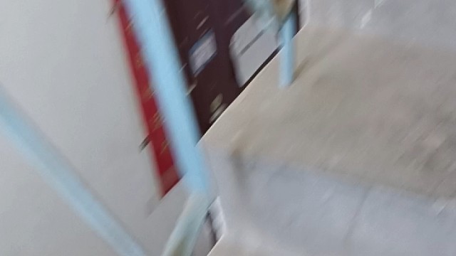 我家2只可爱猫咪